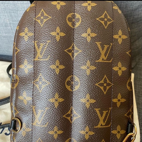 Louis Vuitton Palm Springs mini - Picture 2 of 10